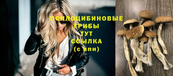 мет Абинск